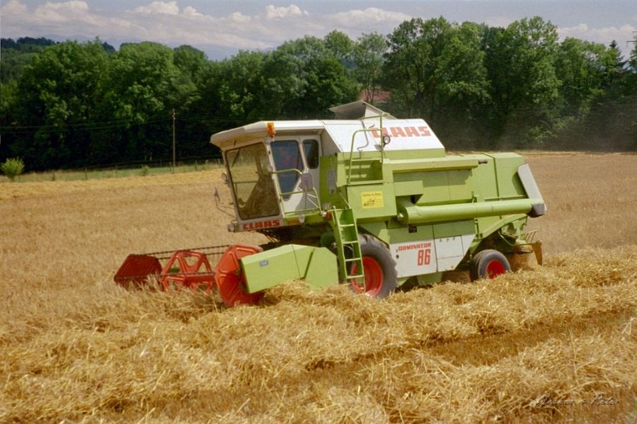 Claas Drescher 02